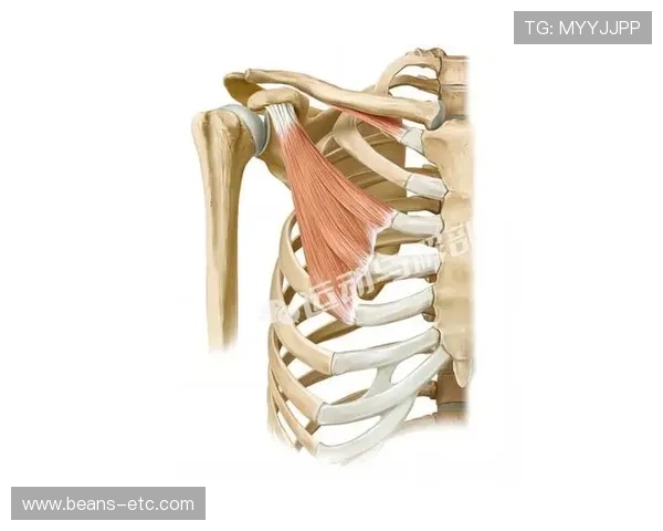 肋部渗透与小范围配合:奥尔莫的进攻特点 肋部渗透与小范围配合:奥尔莫的进攻特点